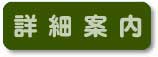 �ڍ׈ē�